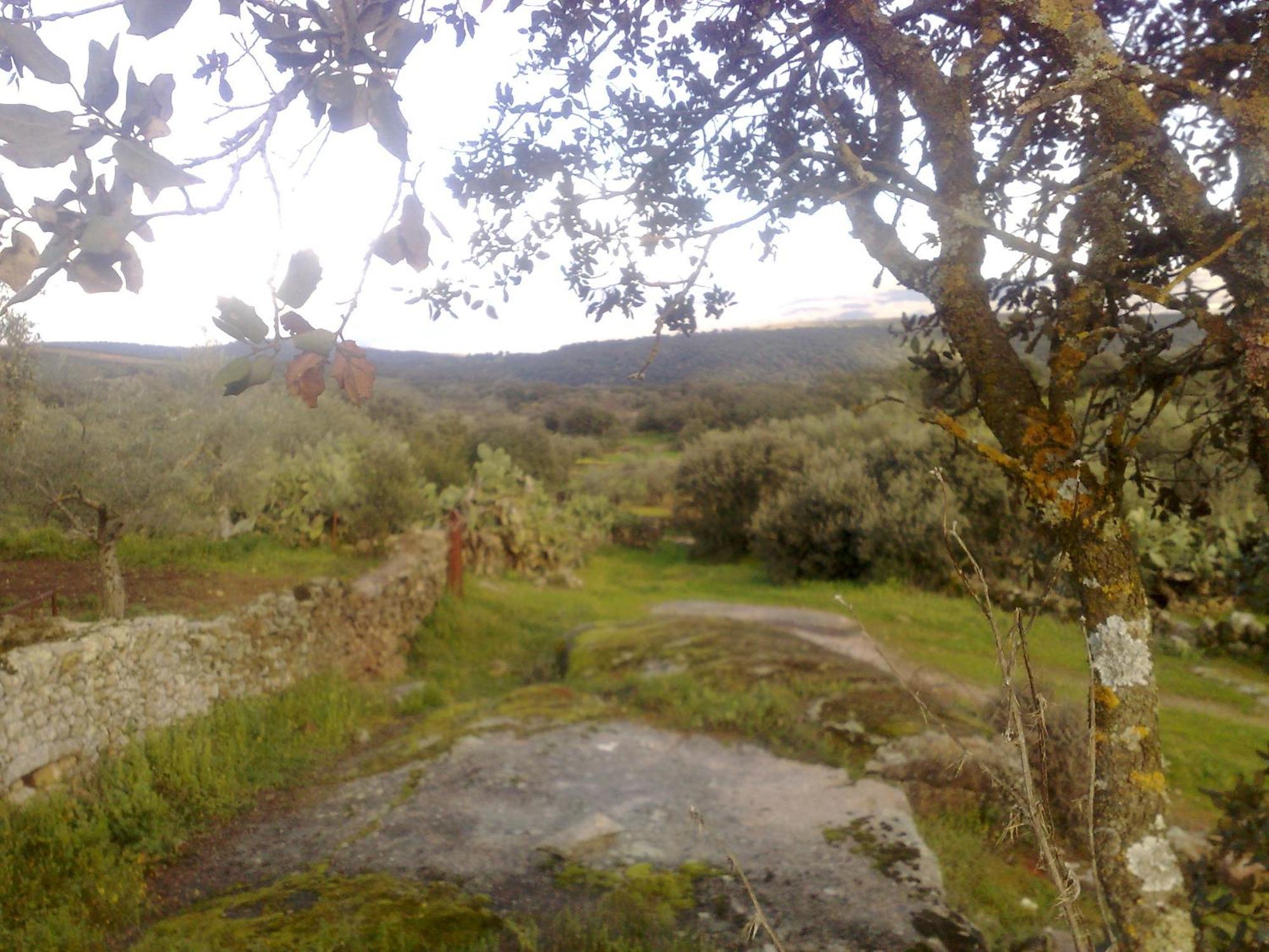 Apartamentos El Jardin Del Poeta Guijo de Granadilla Dış mekan fotoğraf