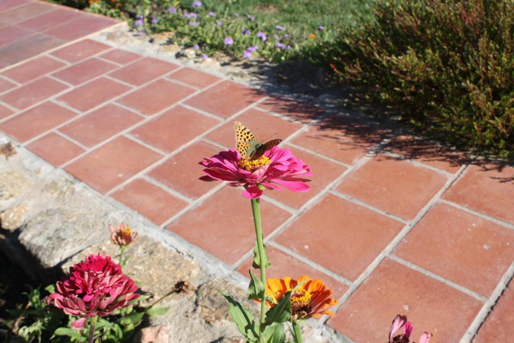 Apartamentos El Jardin Del Poeta Guijo de Granadilla Dış mekan fotoğraf